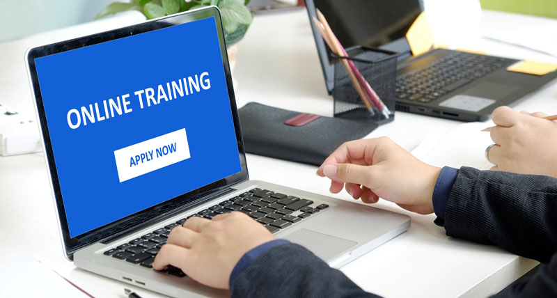 self-paced online training